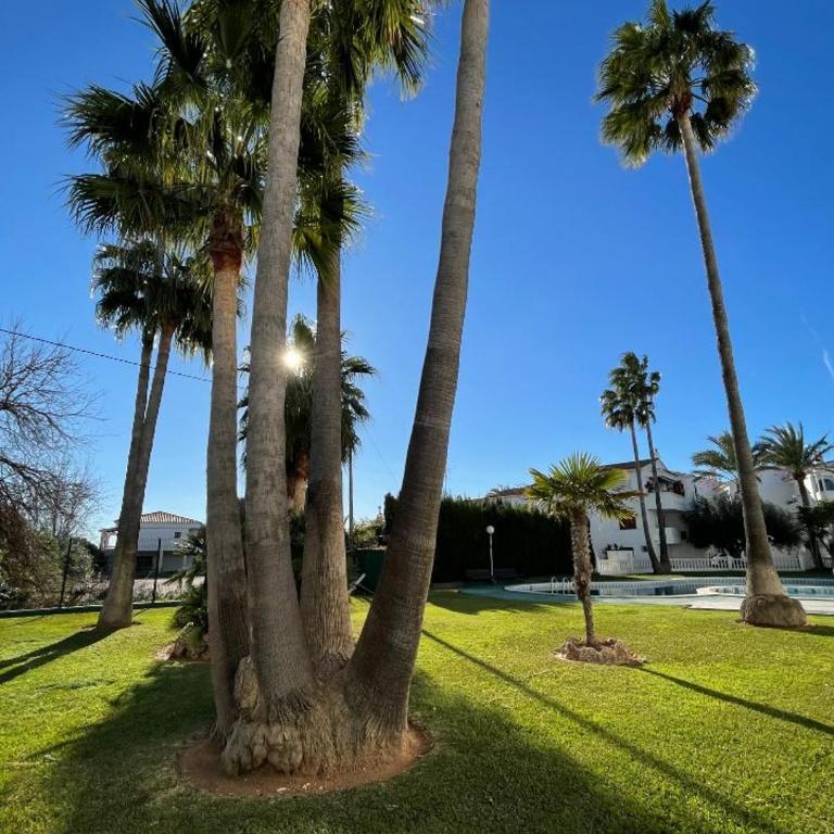 Apartamentos Cap y Corp - Appartamento con 2 Camere da Letto (4-6 Adulti) - 46