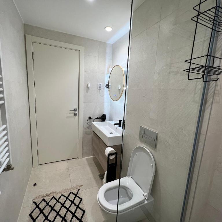 Belgrade Waterfront Diamond - Studio sa Bračnim Krevetom (Queen-size) - 11