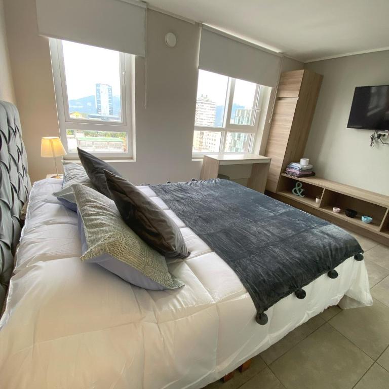 Cómodo departamento en el centro de Temuco - Apartamento de 1 dormitorio - 8