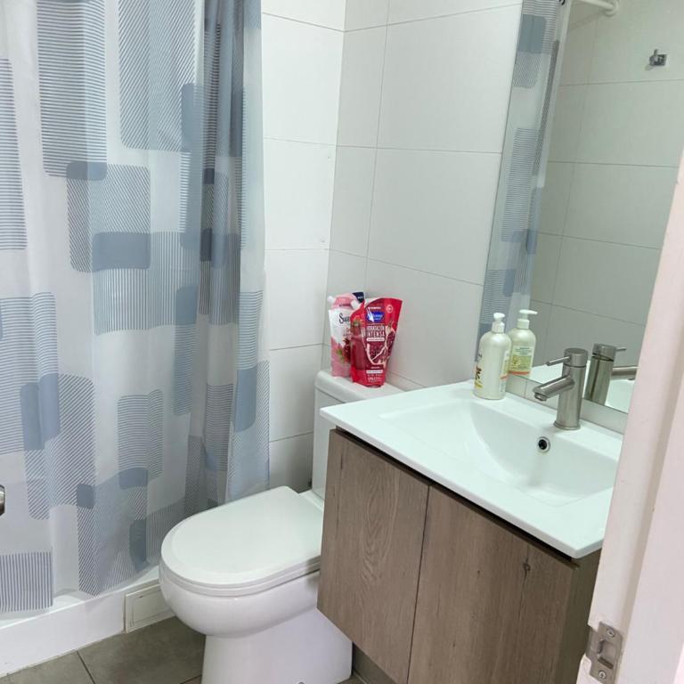 Cómodo departamento en el centro de Temuco - Apartamento de 1 dormitorio - 5