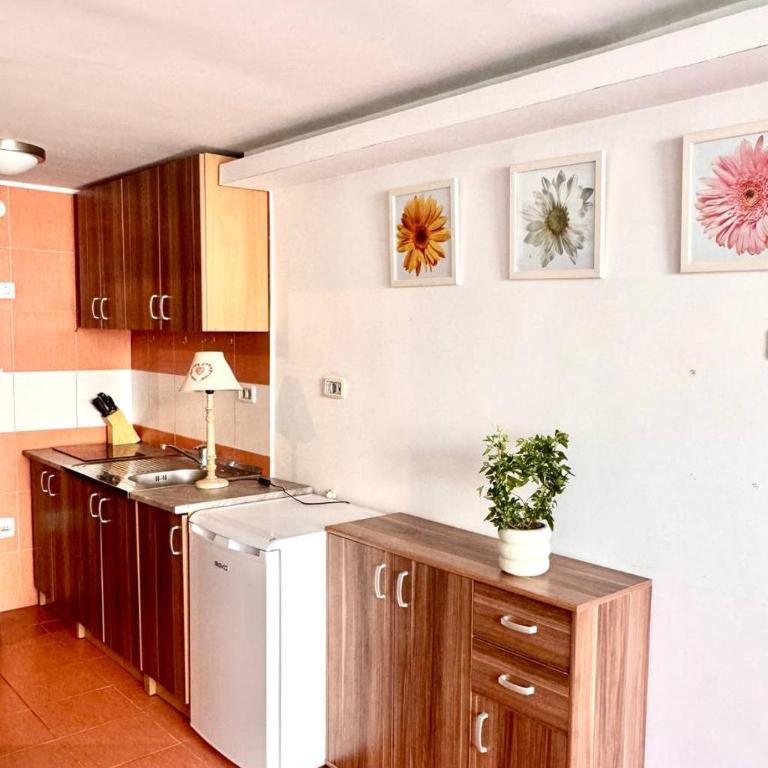 Garsonjera - One-Bedroom Apartment - 7