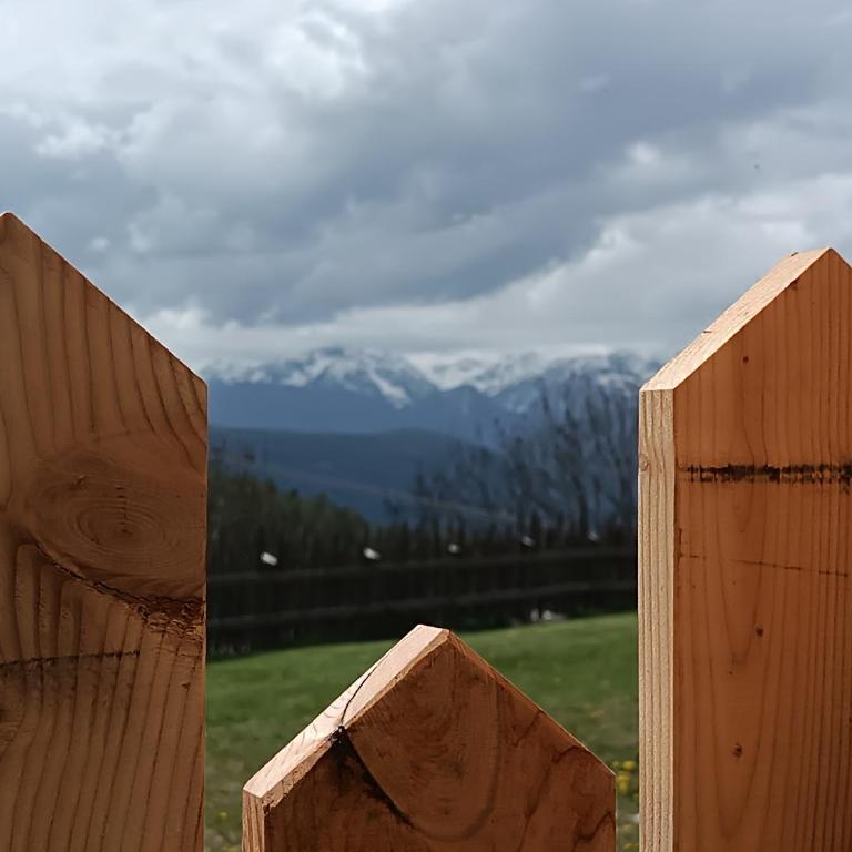 Ferienwohnung Marchnerhof - Appartamento con Terrazza - 1