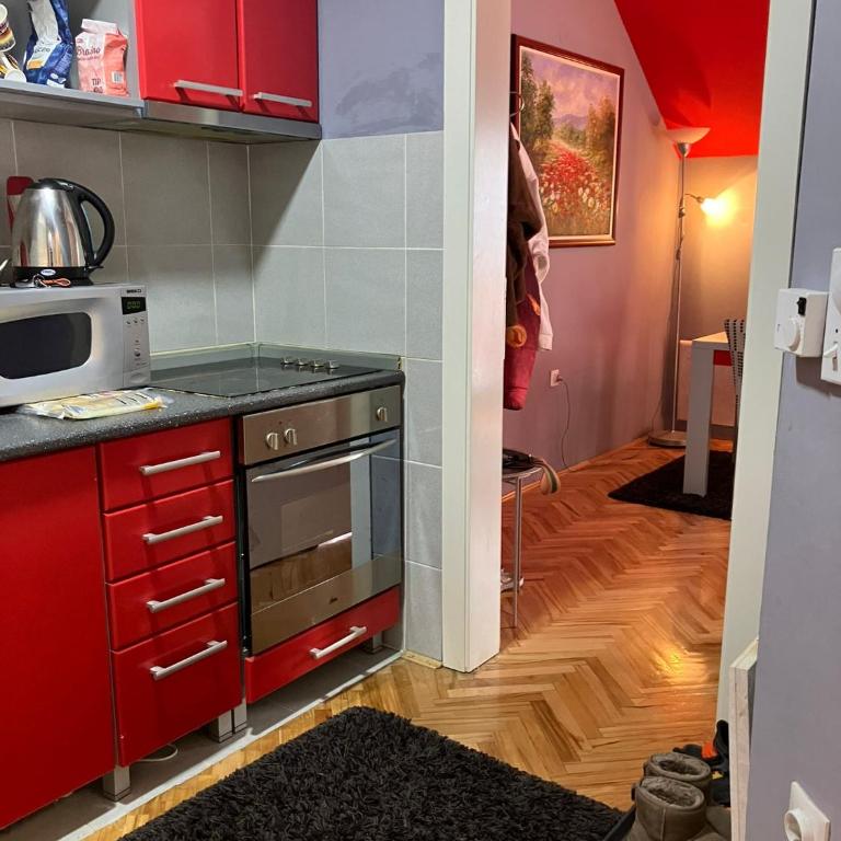 Tanasic - One-Bedroom Apartment - 2