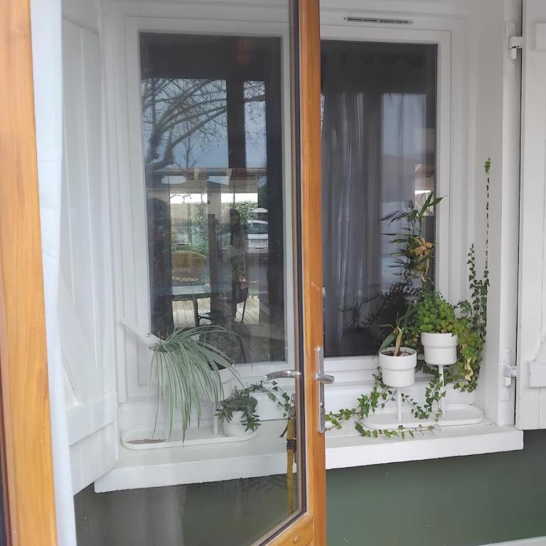 Little house in Bordeaux with pool - Maison 2 Chambres - 6