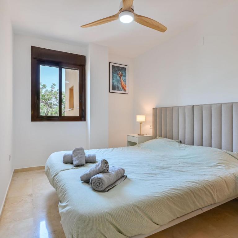 Costalita Amplio Apartamento Junto a la Playa - Apartamento con vistas a la piscina - 21