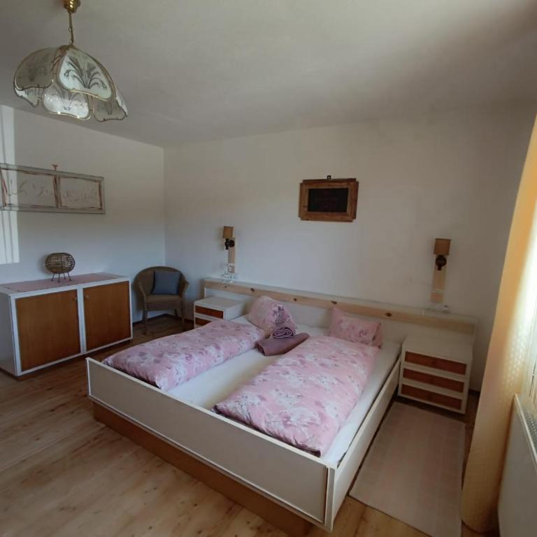 Ferienwohnung Marchnerhof - Appartamento con Terrazza - 2