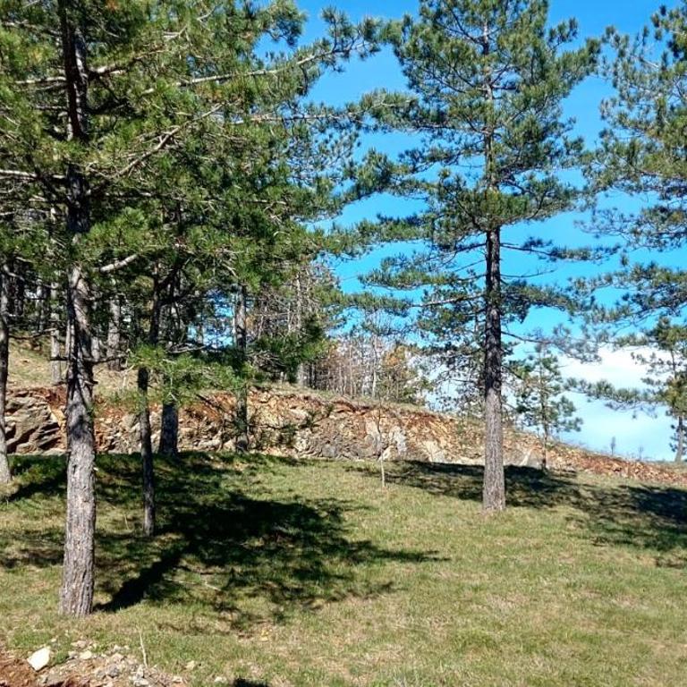 FOREST SIDE Apartmani - Apartman sa 1 Spavaćom Sobom - 24