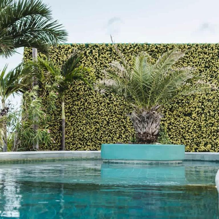 Luxury Penthouse Private Pool - Apartment - 24