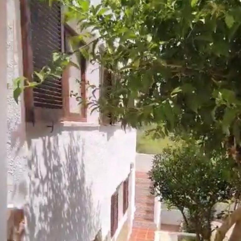 Casa Elvira Planta Baja - Casa de 3 dormitorios - 3