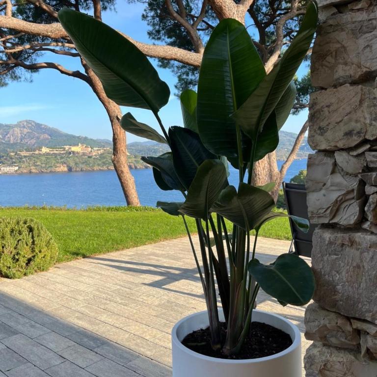 La Guardiola - Capo Perla - Villa con 3 Camere da Letto - 51