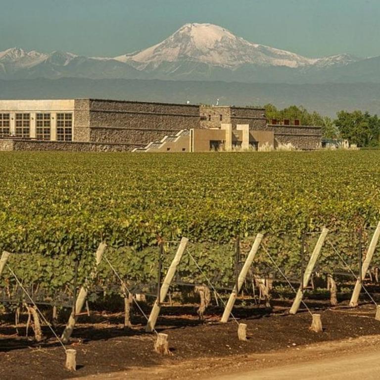 Winemakers' House - Casa de 3 dormitorios - 3