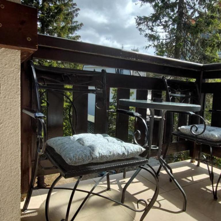 Vila Zvončica, apartman Puzović 22 - Studio Apartman - 12