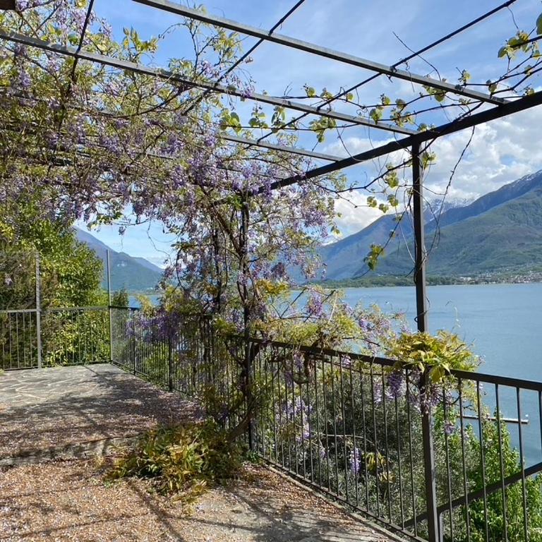 Rustico dei vini - Haus mit 1 Schlafzimmer - 16