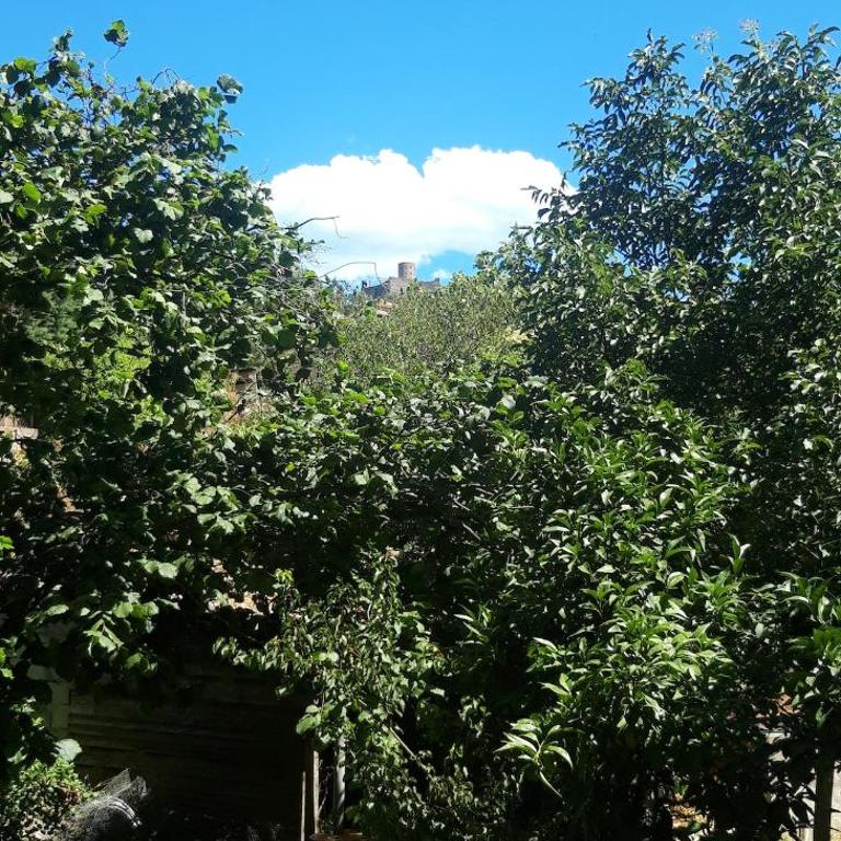 Collioure au Faubourg T2 à 3min des plages, Clim, avec petit Parking - Apartment mit 1 Schlafzimmer - 6