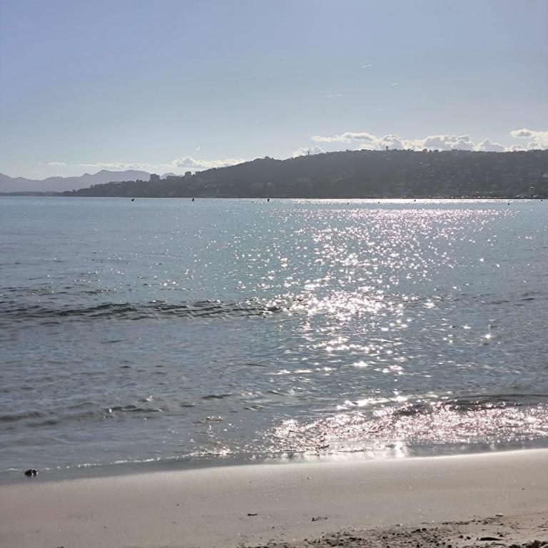 SELI 2 pièces CLIMATISÉ CLASSÉ 52 M2 terrasse 20m2 PLAGES PISCINE ANTIBES avec PARKING PRIVATIF - One-Bedroom Apartment - 50