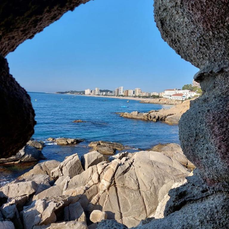 Bravaholidays-202, Centro, AA, Wifi - Apartamento de 2 dormitorios - 4