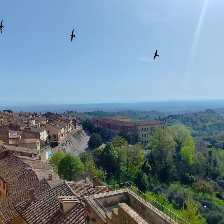 Dimora Dell'Erbe Apartments - Appartamento Superior - 1