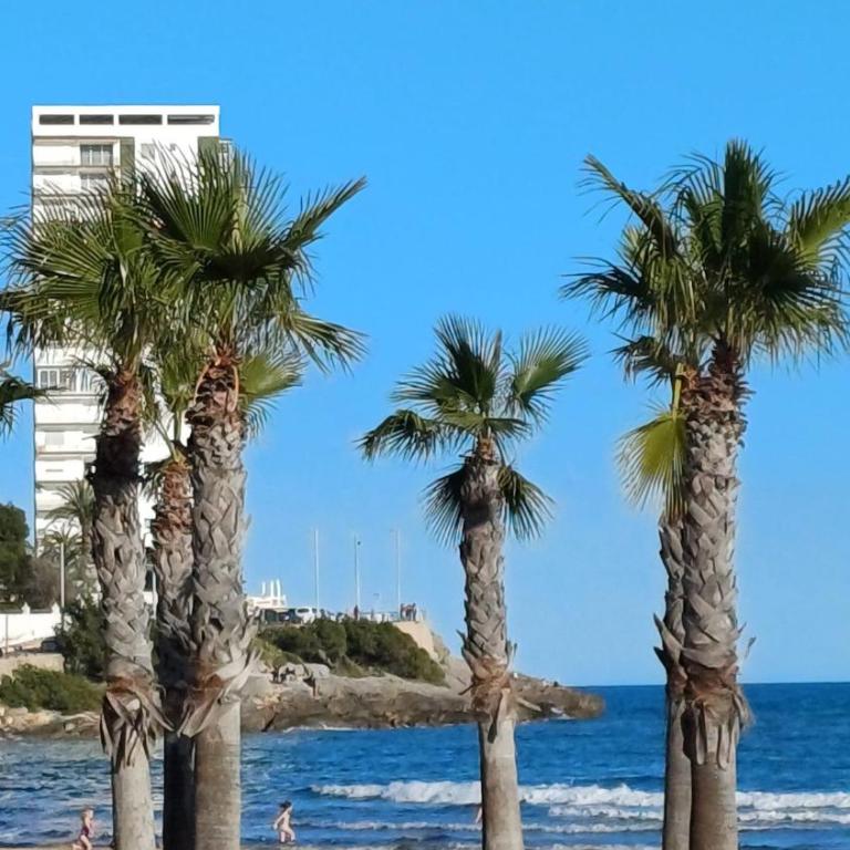 ANIMAR piso en ALGAIDA Oropesa - Apartamento de 2 dormitorios - 34