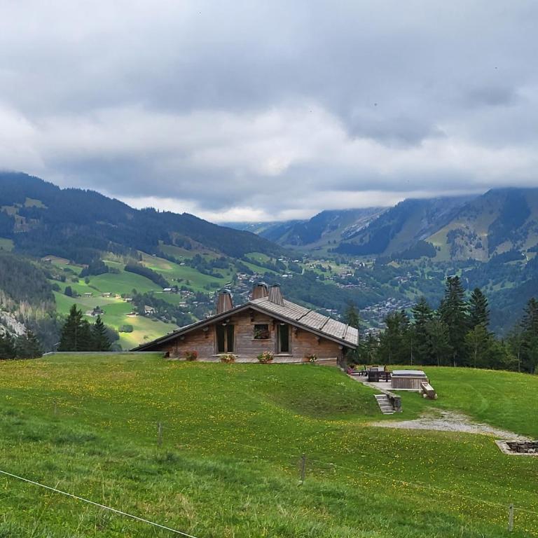 Appartement cosy face aux Aravis - Appartamento con 1 Camera da Letto - 29