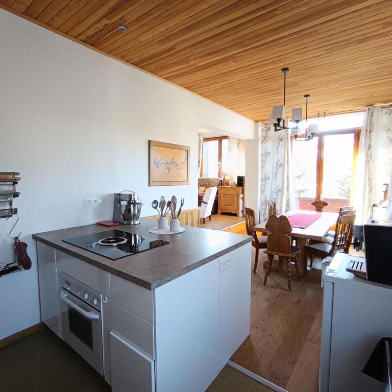 Résidence Le Panoramix - Très bel appartement cosy dans un chalet face au Janus MAE-4511 - Apartment - 10