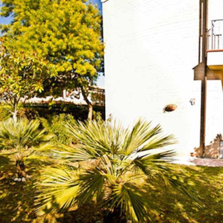 R03 - Trilocale con giardino - Apartment - 8