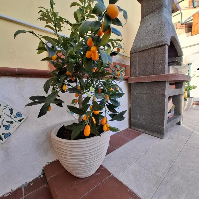 La terrazza di Annina - Agropoli vista mare & Relax - One-Bedroom Apartment - 20
