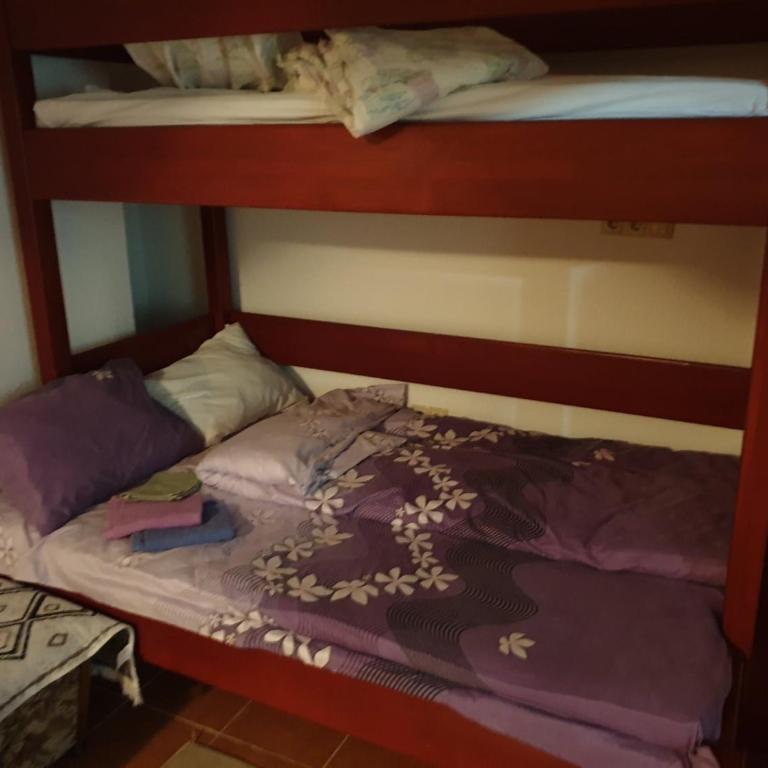 Grand AC Residence with Garden & Parking - Apartman - 20