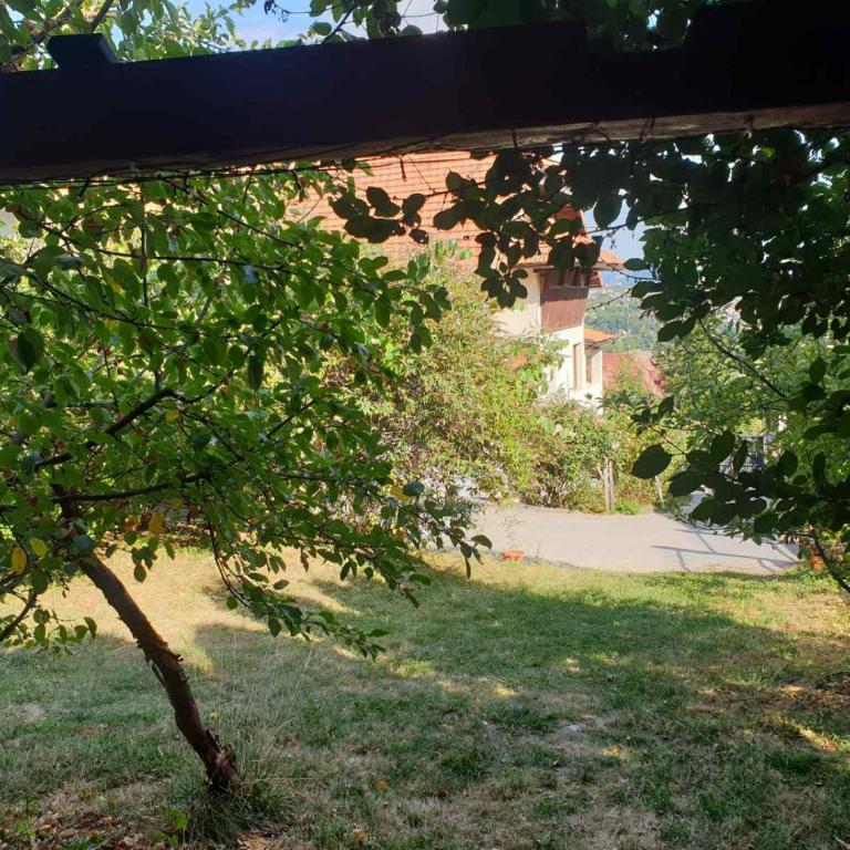 Grand AC Residence with Garden & Parking - Apartman - 27