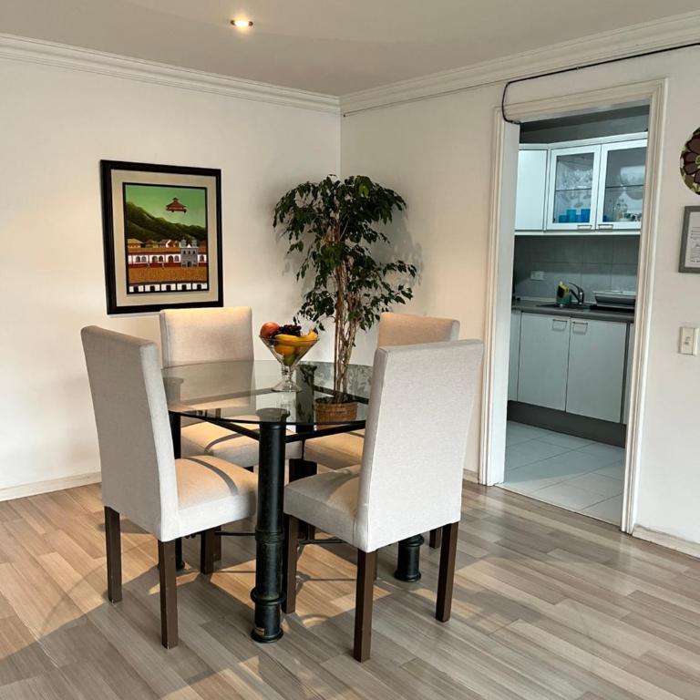 BlueZone Apartments - Suite Junior - 15