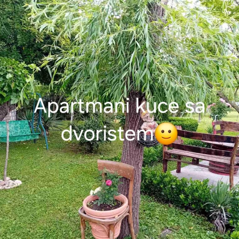 Dusica - Appartement 1 Chambre - 9