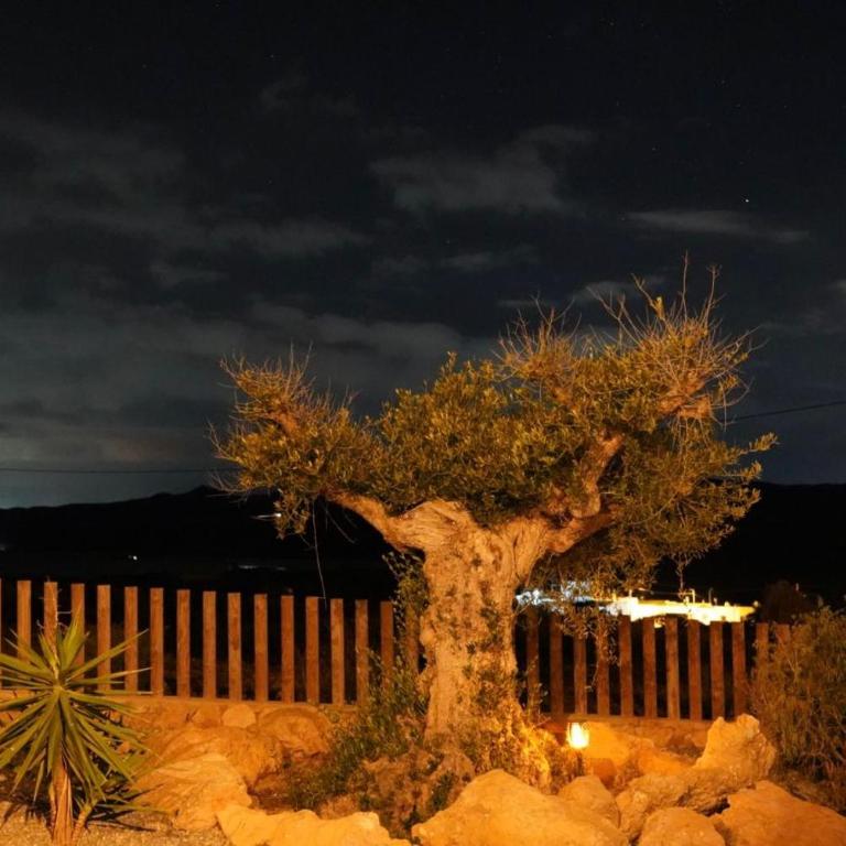 El cerro y la luna - Apartamento de 1 dormitorio - 33