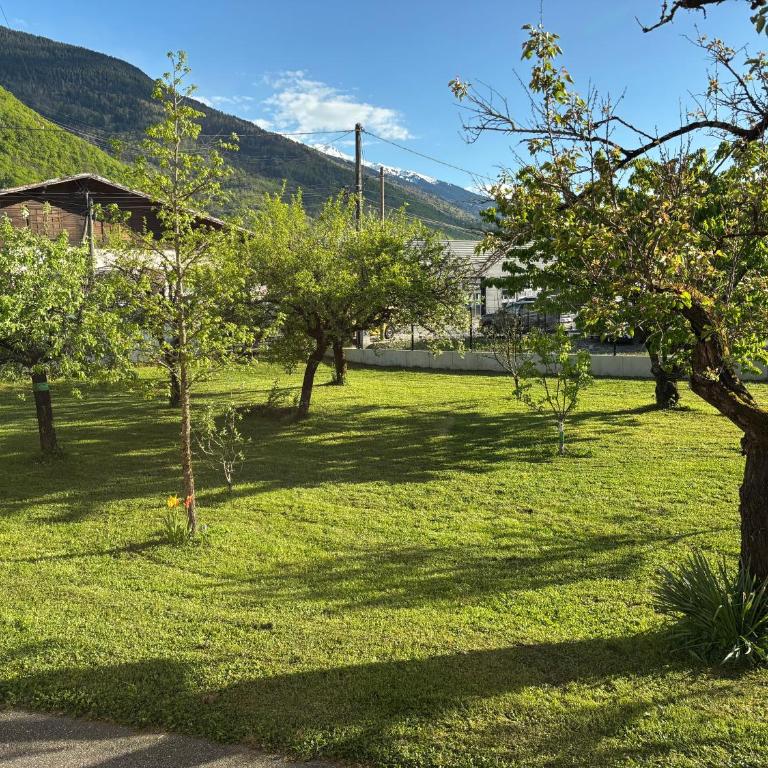 Lovely apartment in Albertville - Appartement 2 Chambres - 13