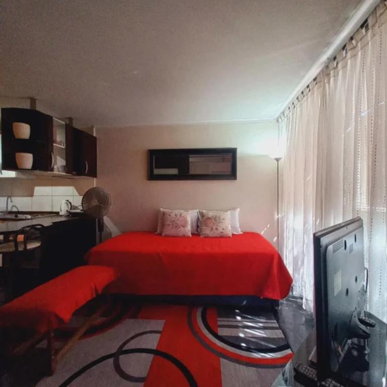 Excelente depto central con piscina locomoción a la puerta Para 3 a 4 personas - Apartamento de 1 dormitorio - 2