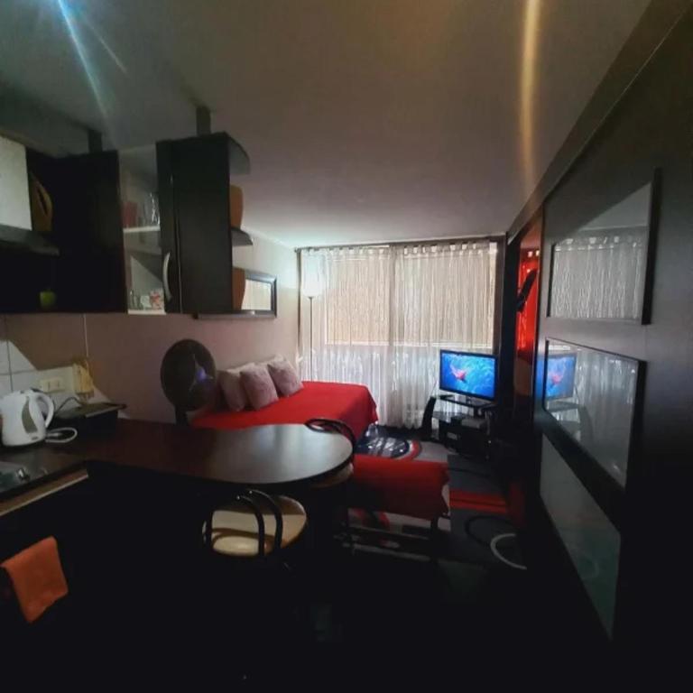 Excelente depto central con piscina locomoción a la puerta Para 3 a 4 personas - Apartamento de 1 dormitorio - 4