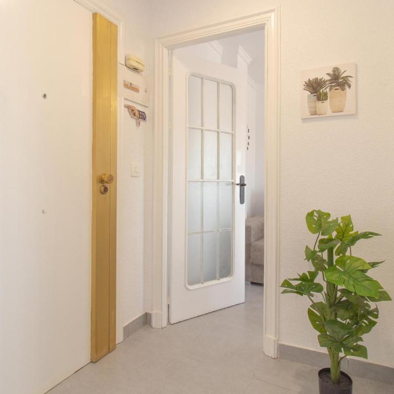 Beach Front Apartment In Torrevieja With Wifi - One-Bedroom Apartment - 7
