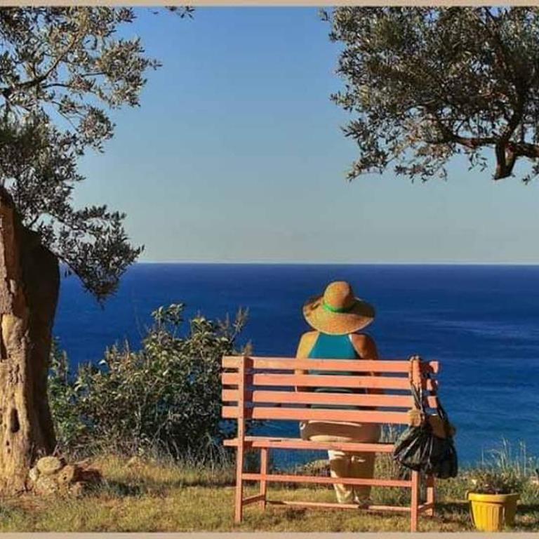 Villa Pierina - Appartamento - Piano Terra - 1