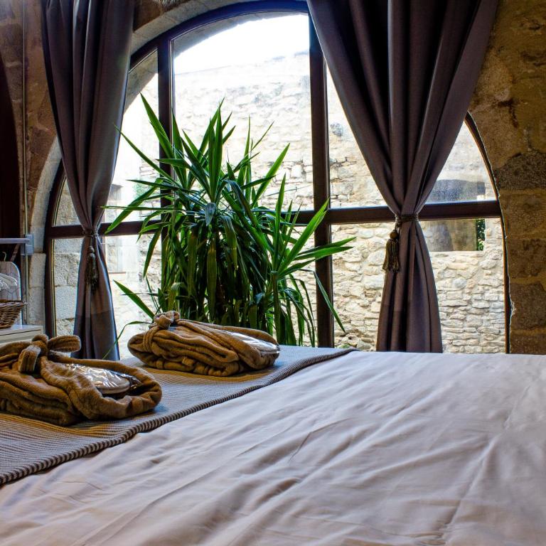AS Palau dels Alemanys Suites Boutique Monument - Apartamento Suite - 15