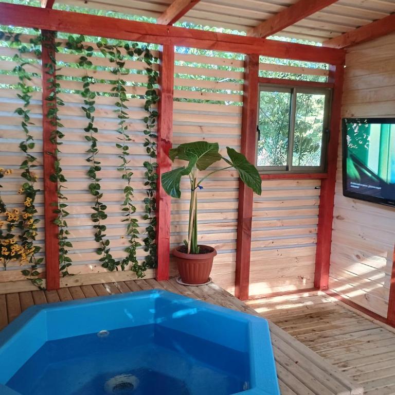 Cabañas more licanray con tinaja - Casa de 2 dormitorios - 12