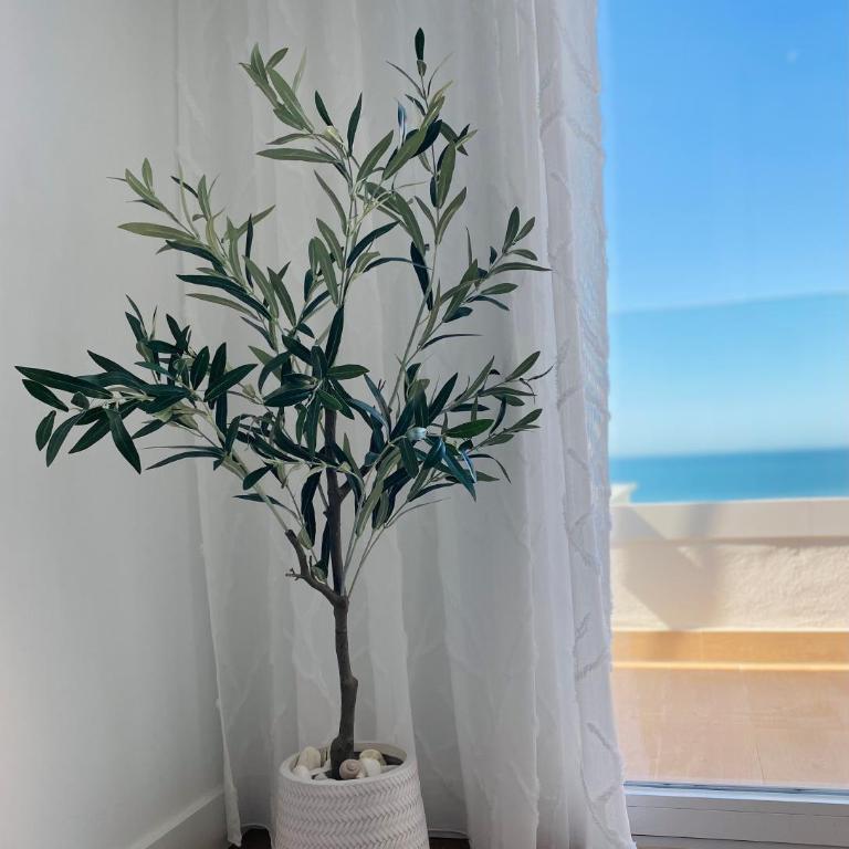 BEST CALACEITE SUNSET VIEWS - Apartamento de 2 dormitorios - 12