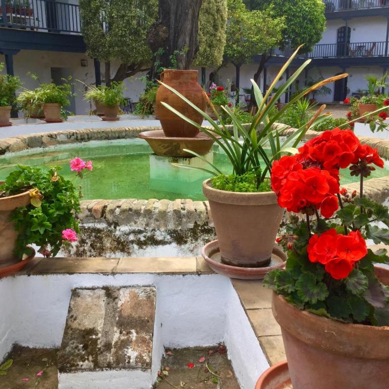 Andalusian Courtyard - Apartamento con vistas al jardín - 31