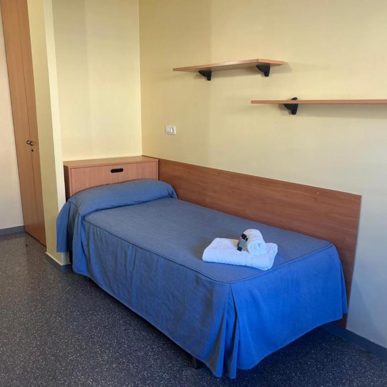 Residencia Universitaria Resa Emperador Carlos V - Superior Single Room - 2
