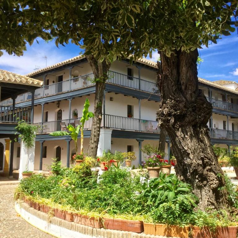 Andalusian Courtyard - Apartamento con vistas al jardín - 23