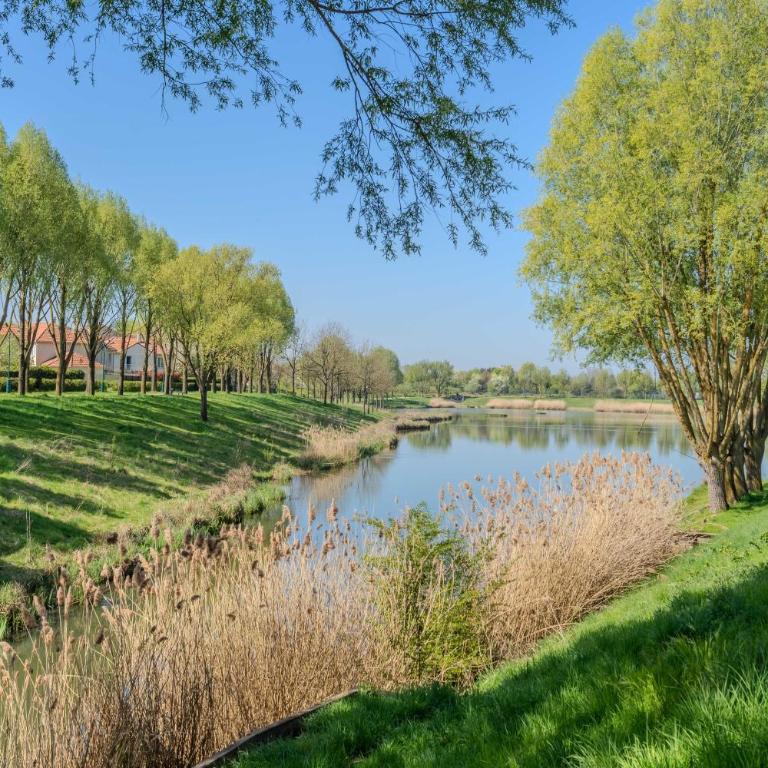 Nova apartment Disneyland Bmyguest - Appartement 3 Chambres - 28