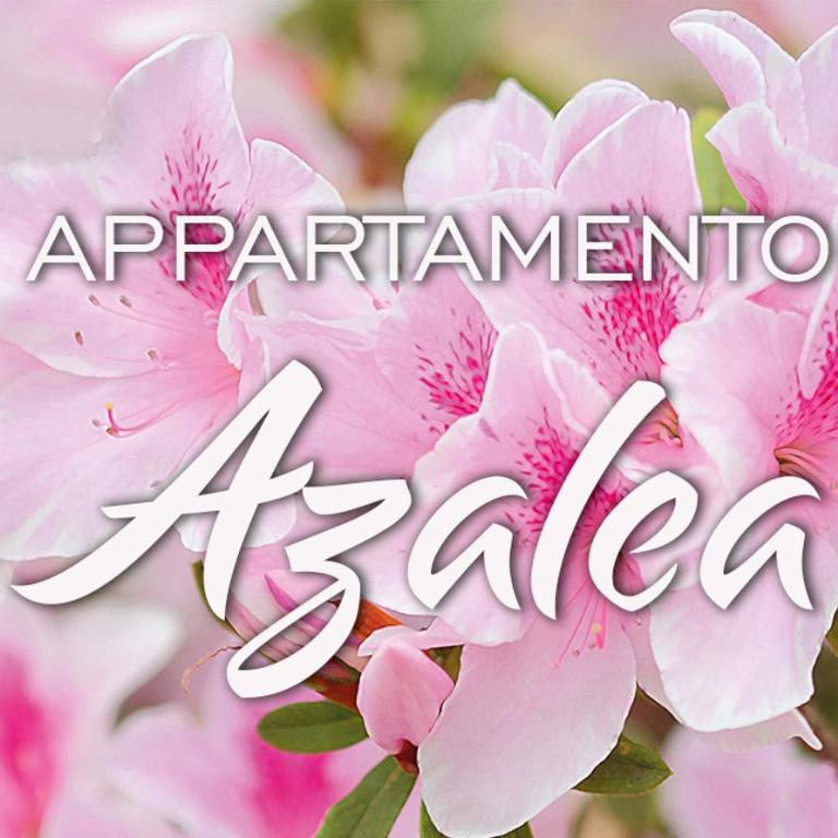 Appartamenti KAORA - Appartamento con 2 Camere da Letto e Balcone - 1