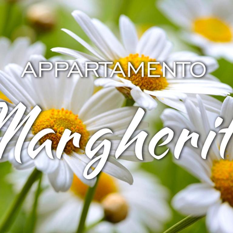Appartamenti KAORA - Appartamento con 2 Camere da Letto e Terrazza - 1