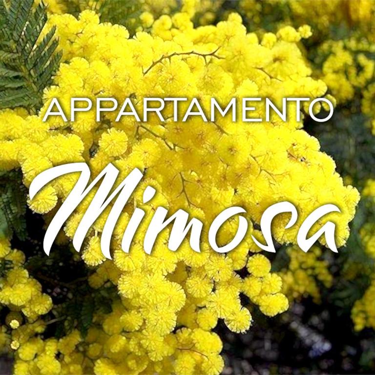 Appartamenti KAORA - Appartamento con 2 Camere da Letto e Terrazza - 1