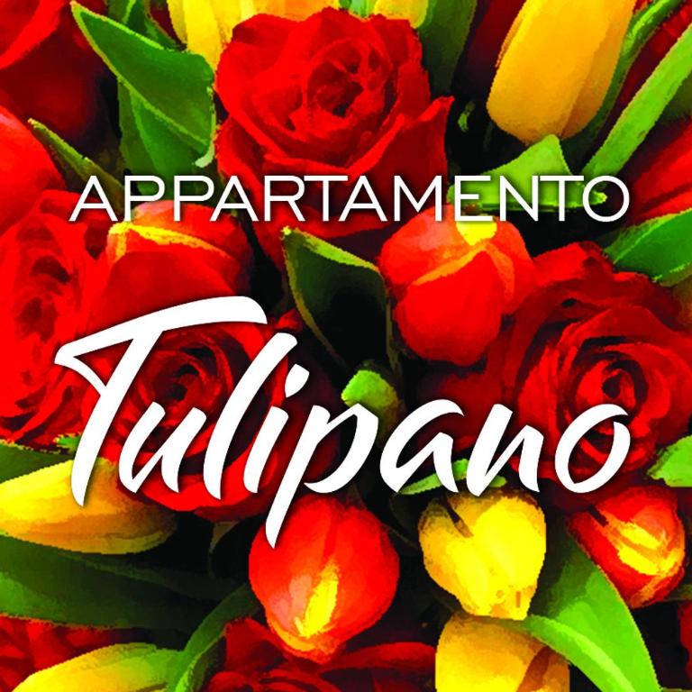 Appartamenti KAORA - Appartamento Superior con 2 Camere da Letto - 1