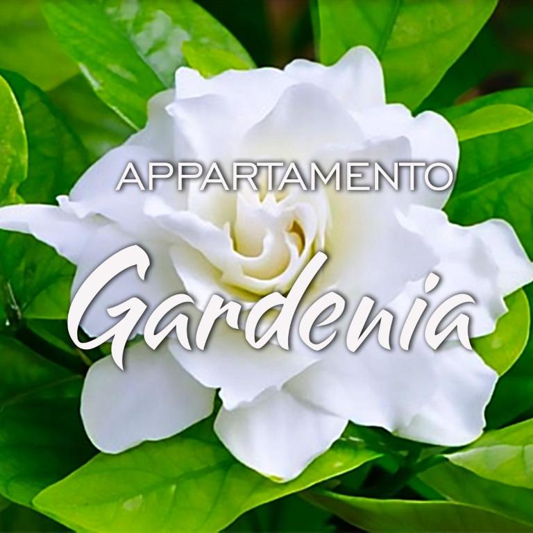 Appartamenti KAORA - Appartamento con 1 Camera da Letto - 1
