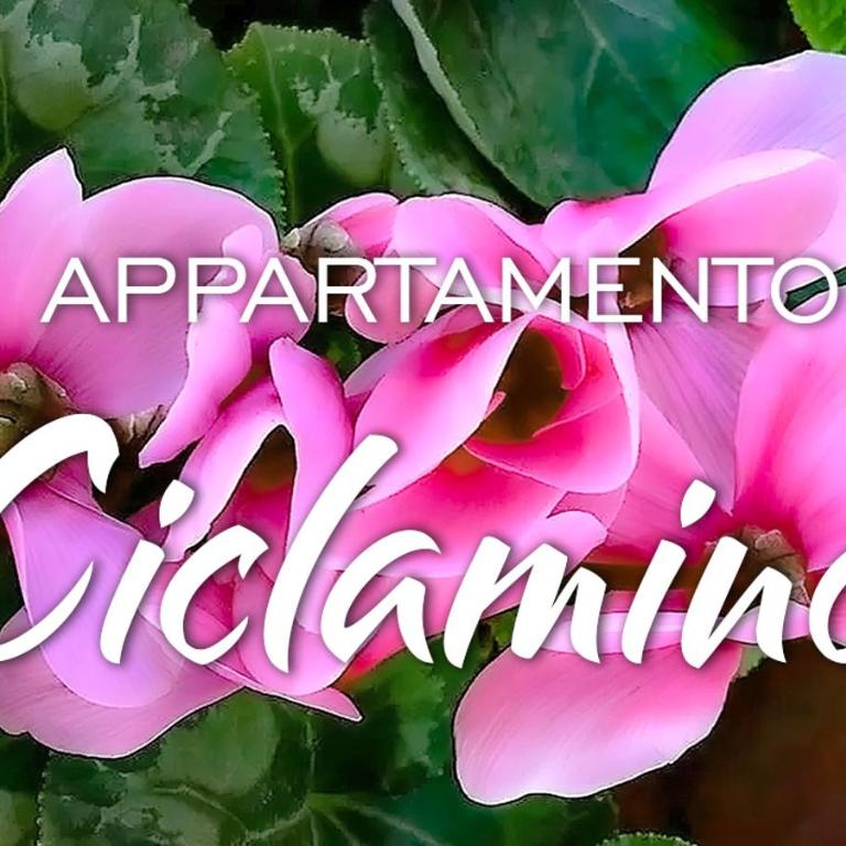 Appartamenti KAORA - Appartamento con 1 Camera da Letto - 1