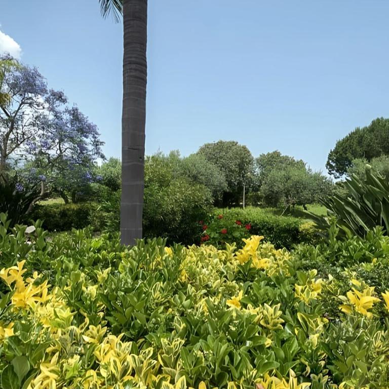 Villa Viola e Giulio - Villa - 58